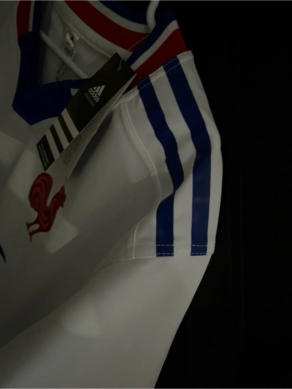 Adidas D.DOUE White Jersey with Blue Stripes and Red Crest